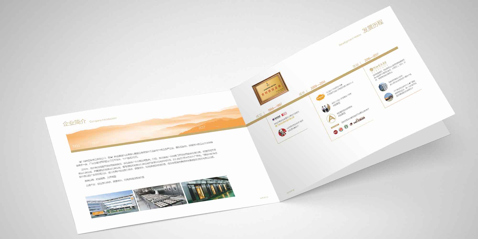 佰翔冷凍食品手冊(cè)目錄、折頁宣傳單頁、產(chǎn)品畫冊(cè)設(shè)計(jì)