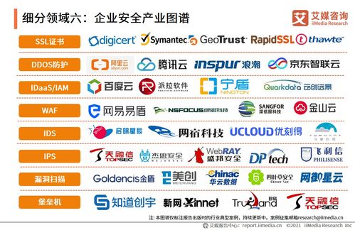 2021上半年中國企業(yè)服務(wù)專題研究報(bào)告 企業(yè)管理信息咨詢服務(wù)的現(xiàn)狀與展望